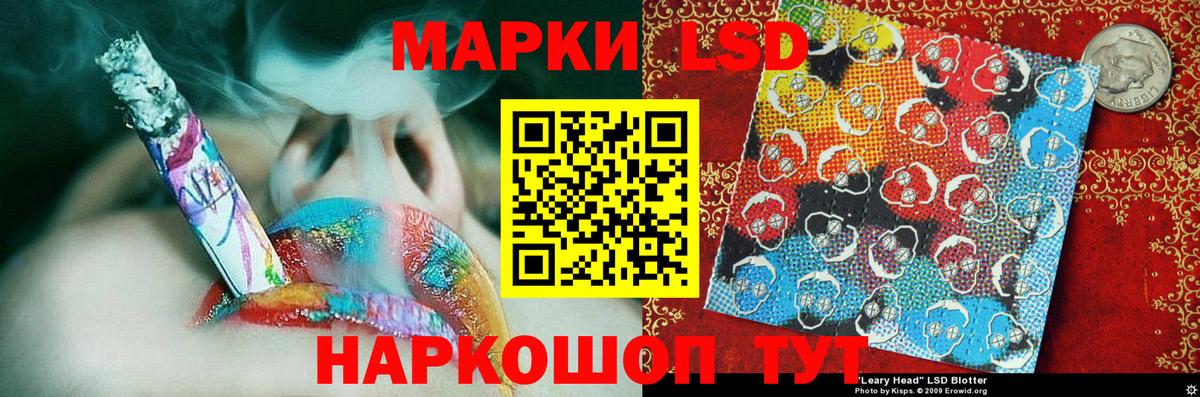 Бошки Шишки Калининград