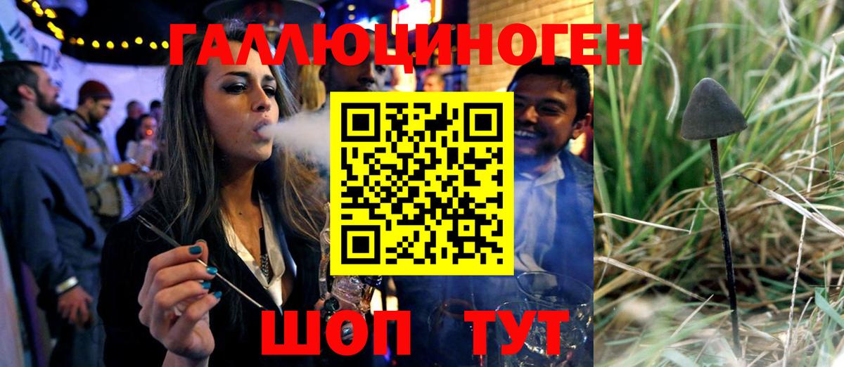 Галлюциногенные грибы MAGIC MUSHROOMS Калининград